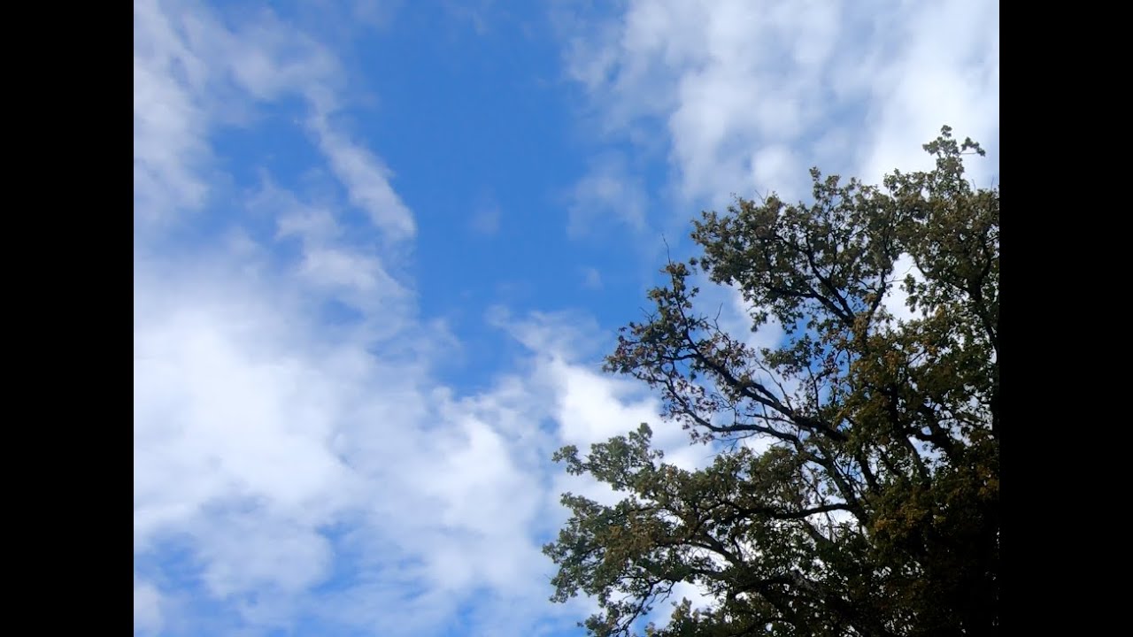 Day walk around Ferney Voltaire &rarr; Ornex / France walk 4K