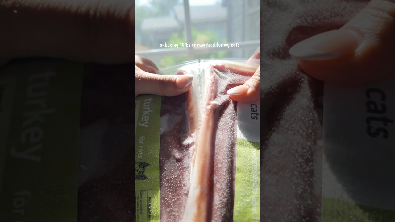 unboxing viva raw #toxicrose #cats #petfood #catshorts #rawfood #catfoods #pets #unboxing #asmr #fyp