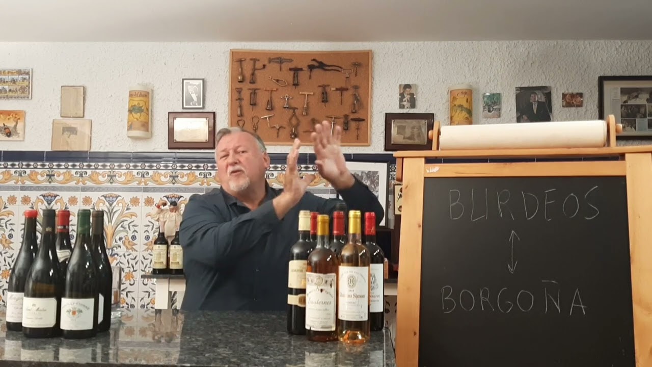 72 - &iquest;Sabes distinguir un burdeos de un borgo&ntilde;a?