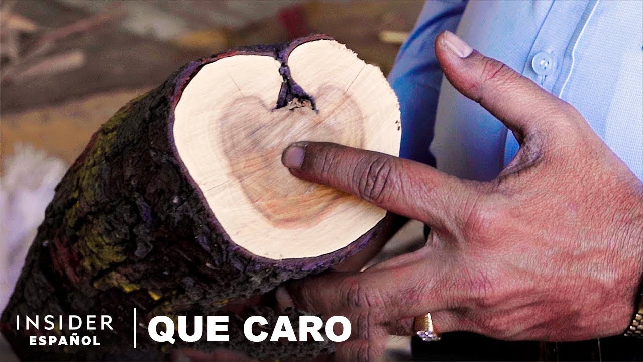 Por qué el sándalo es tan caro | Qué caro