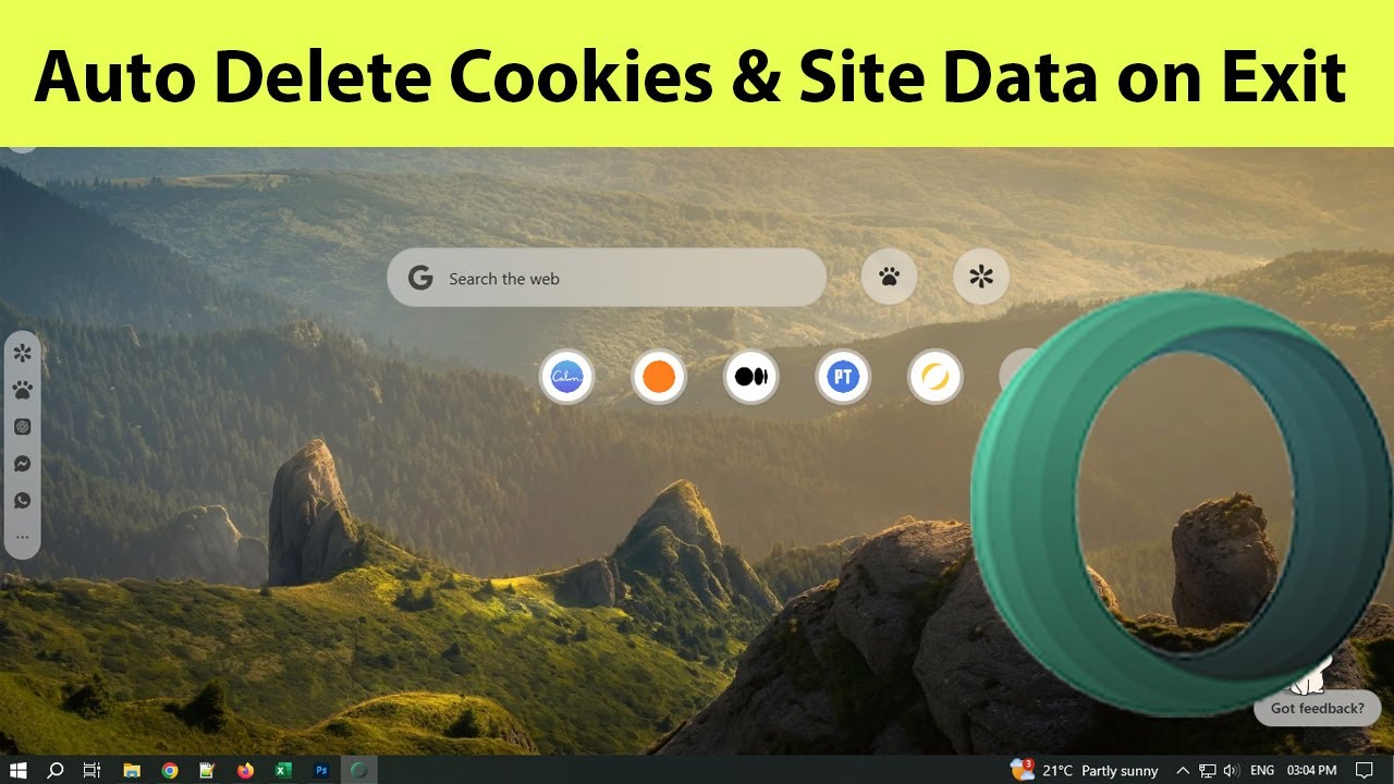 How to Delete Cookies and Site Data on Exit in Opera Air?
