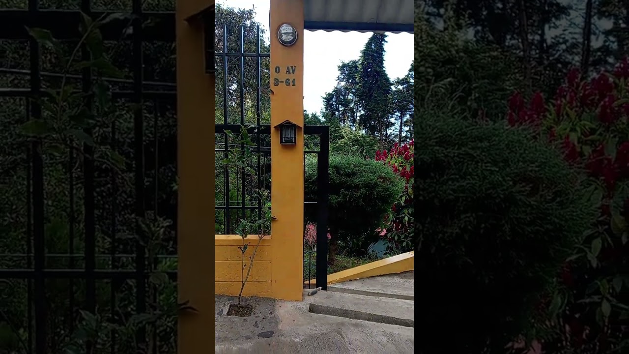 19 de febrero de 2026