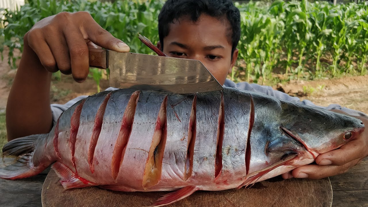 Fish Cooking Soybean Paste Recipe / Pork Fried Fish