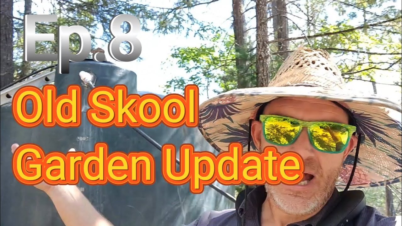 Cool Bean's Outdoor Cannabis Grow Show 2023 Ep. 8 Old School Genetics Garden Update!