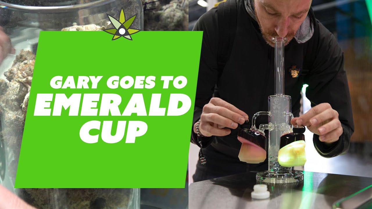 Gary Went to the Emerald Cup!