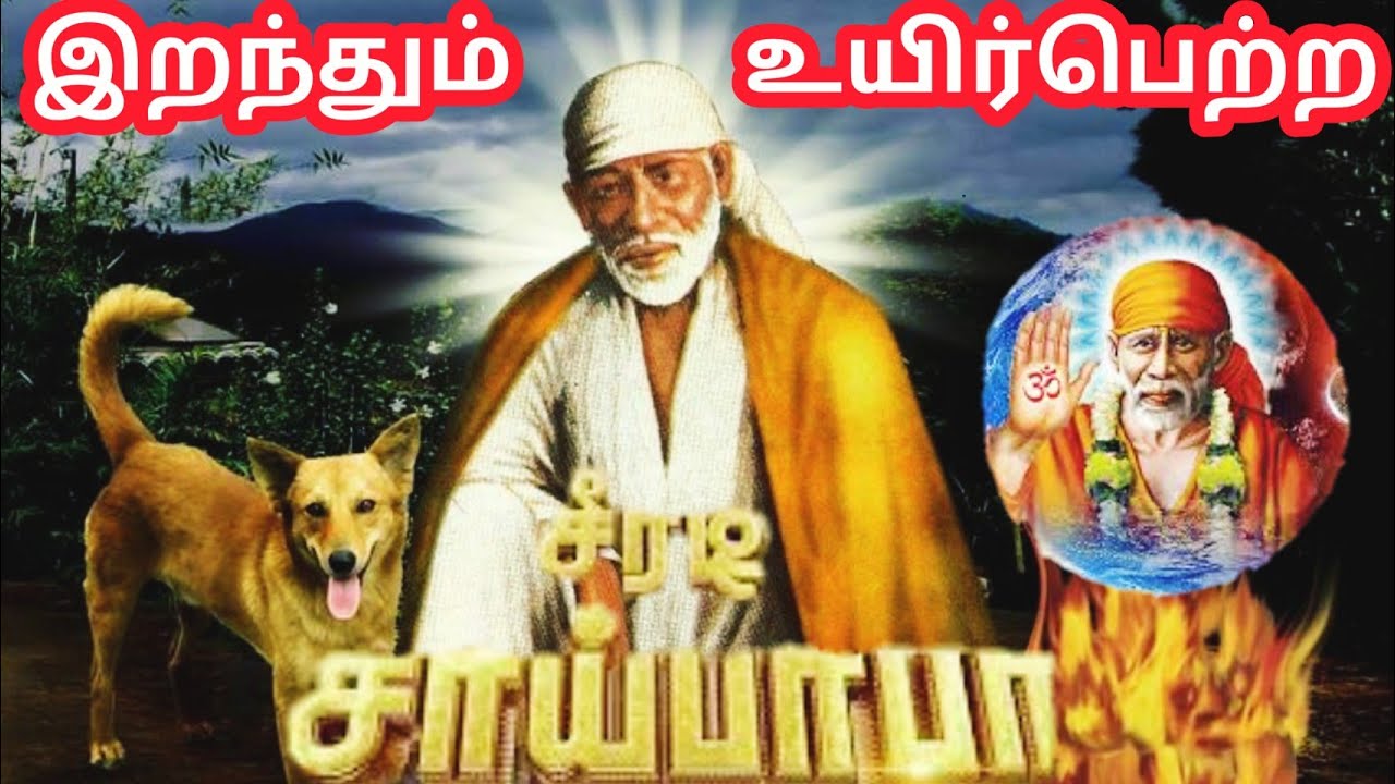ஷுரடி சாய் பாபாவின் கதை |Sai Baba history tamil | Real Story of Shirdi Saibaba