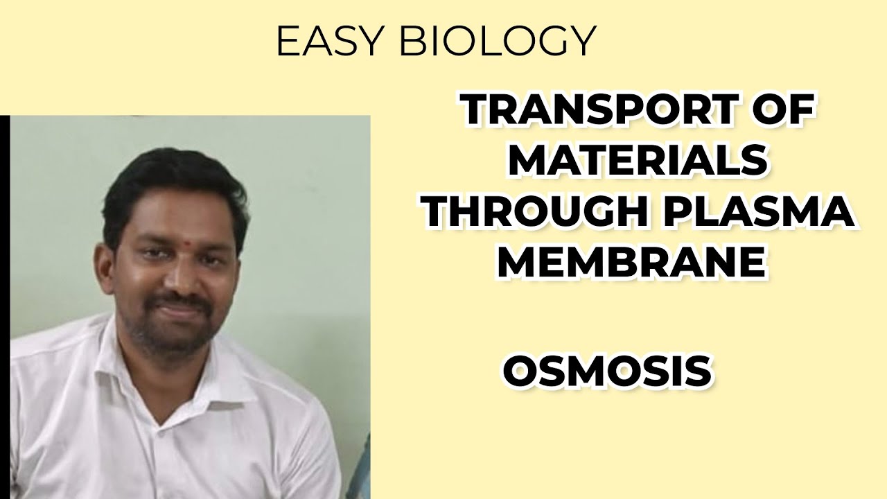 Transport of materials through plasma membrane 9th class part -1# Osmosis