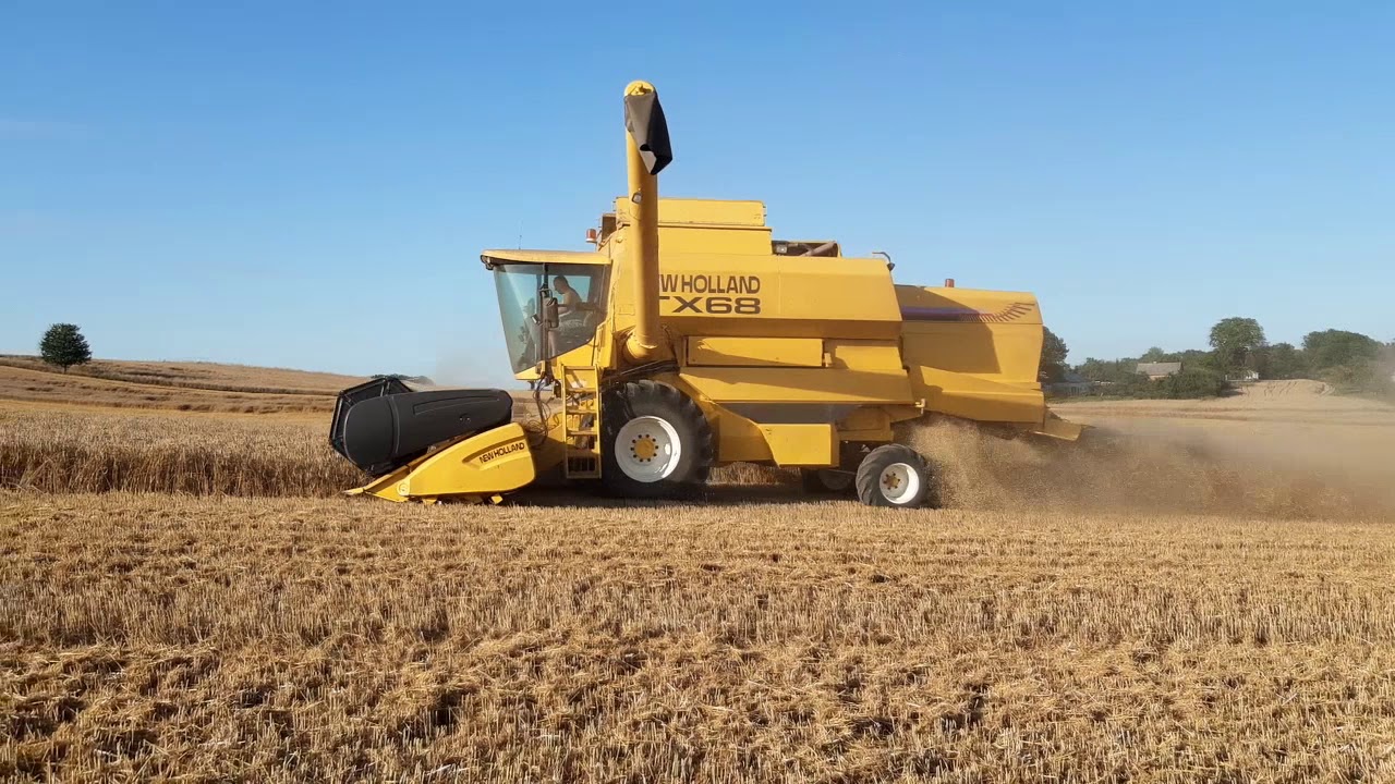 Żniwa pszenicy 2019!!  Gr.Pastuszak // New Holland TX68 // Case 7220