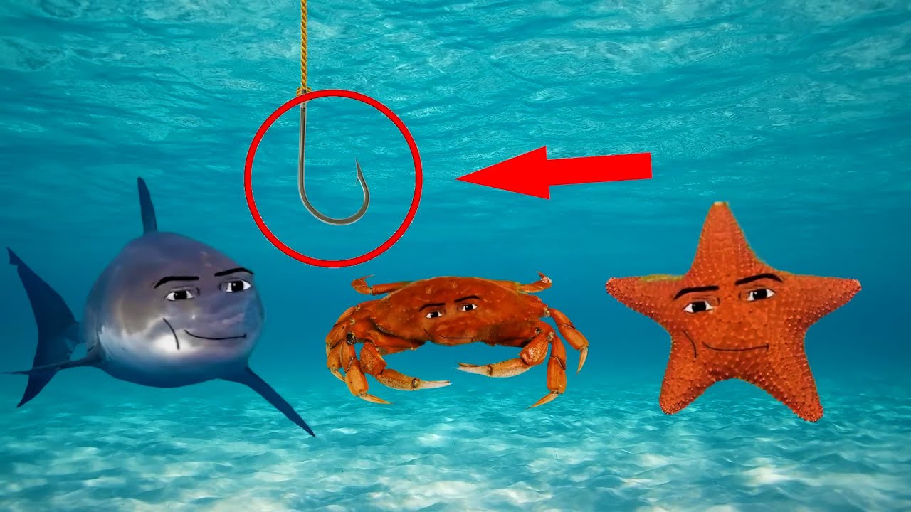 Gegagedigedagedago Oceanic Part 1