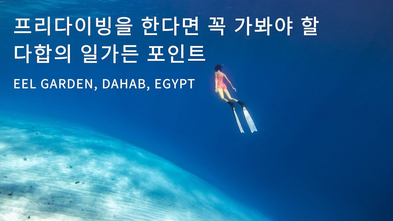 이집트 다합 프리다이빙 포인트 추천, 다합의 일가든! Freediving in eel garden, DAHAB, EGYPT