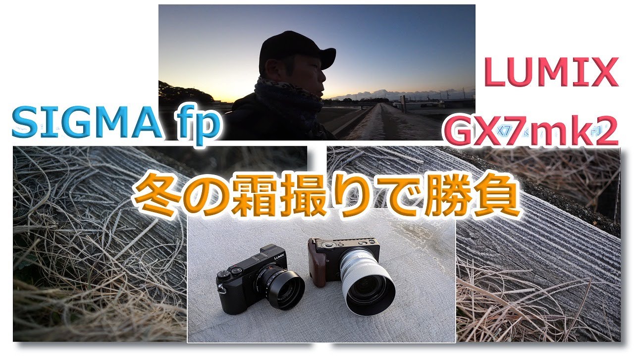 冬の雑草といえば『霜』 SIGMA fp / LUMIX GX7mk2 撮り比べ〜