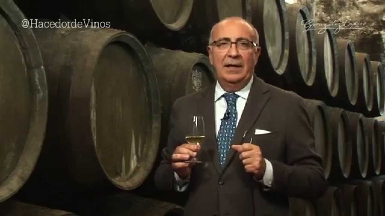 #HacedorResponde: Fino vs Manzanilla