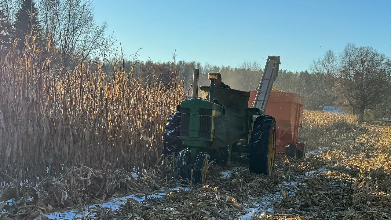 Picking corn with John Deere 730 and 720 4K