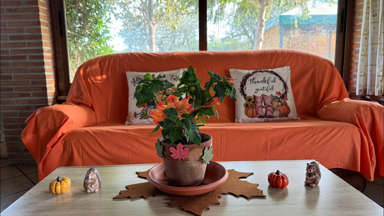 Decorazione autunnale per il portico 🍁🍂🐿️🍁￼