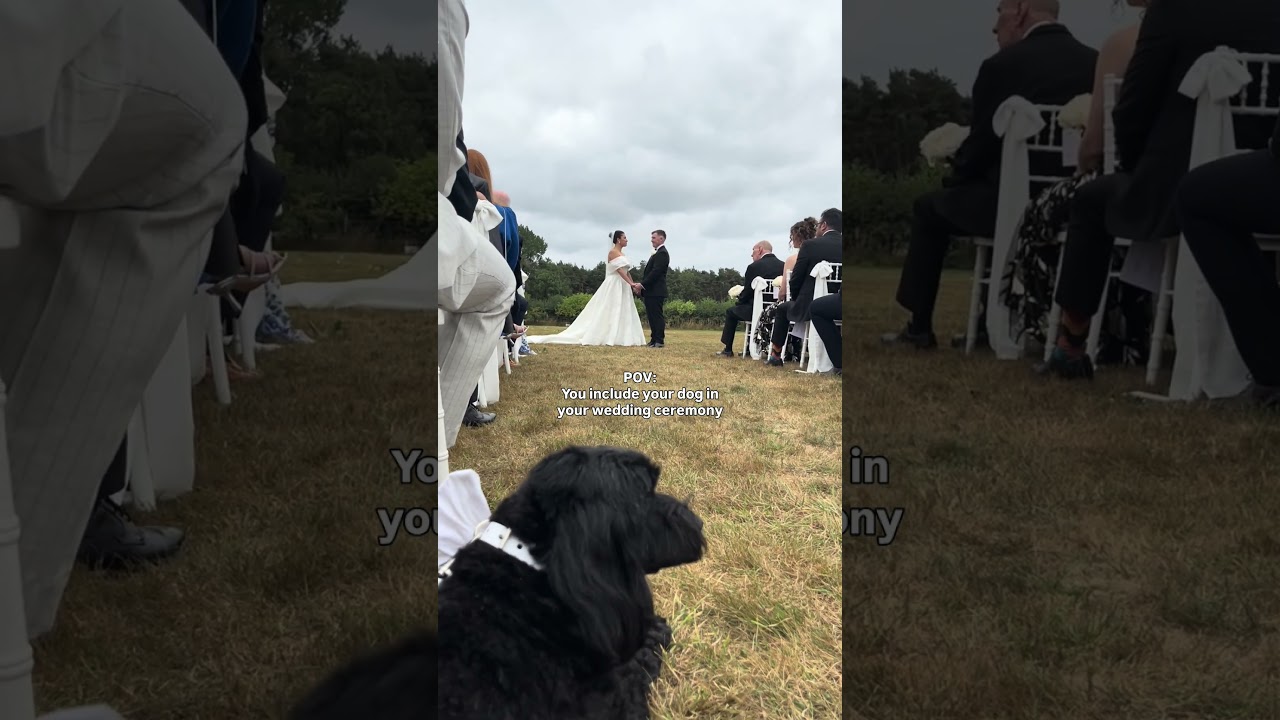 When you include your dog to witness your wedding ceremony 