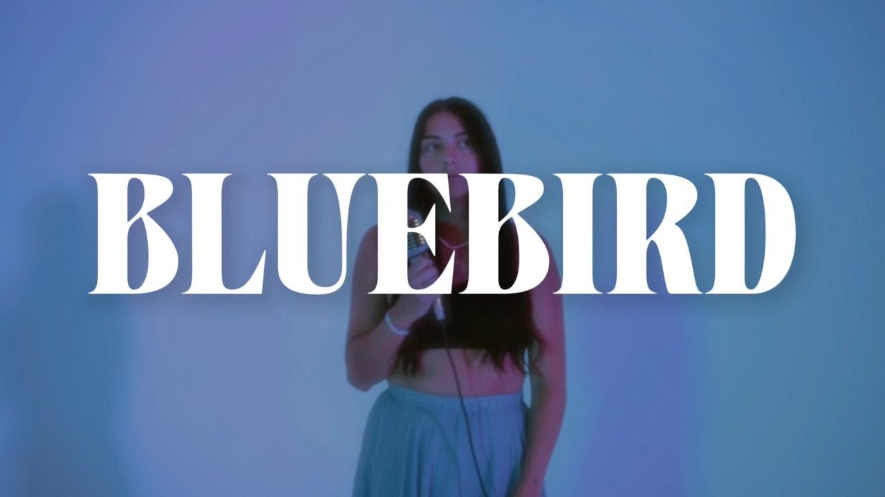 kristen taylor - bluebird (Ft. Catie Hinshaw) (Official Lyric Video)