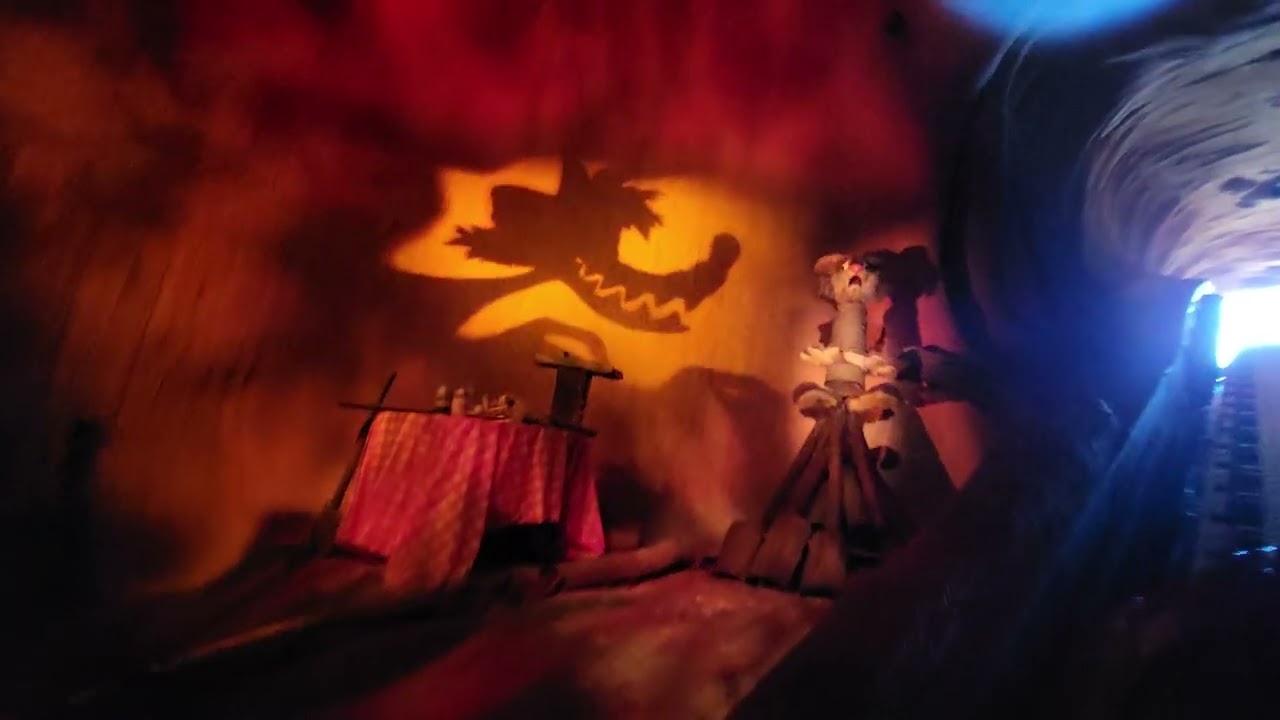 Splash Mountain ride through before the change!
