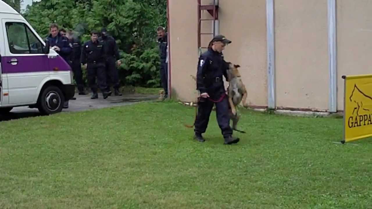 Psovodi Policie ČR a Vězeňské služby ČR