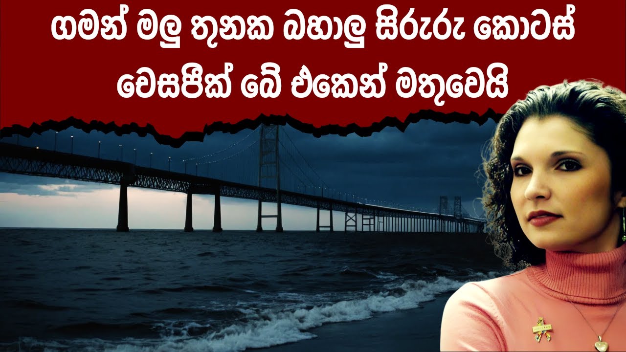 හෙදියකගේ මාරක රහස | The Suitcase Killer