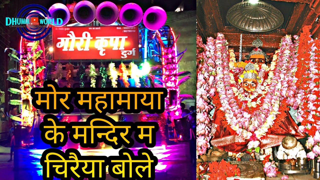 GAURI KRIPA DHUMAL DURG|MOR MAHAMAYA KE MANDIR MA CHIRAIYA BOLE|DUKALU YADAV JAS GEET 2020