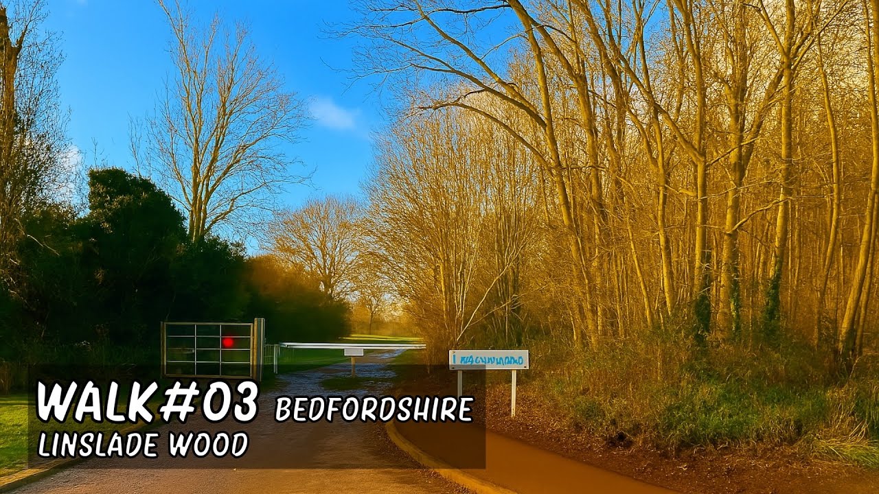 Walk 03 | Linslade Wood #walkingtour #countrywalks #bedfordshire