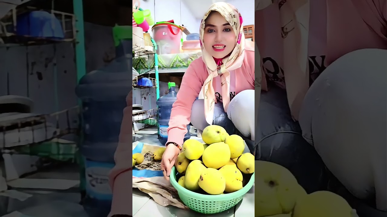 Panen buah mangga guyz...😁