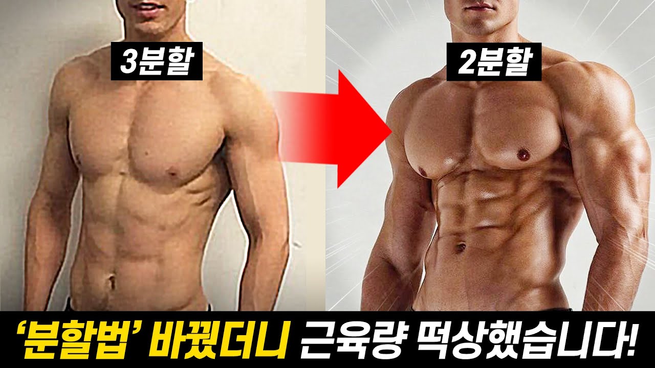 헬스 초보자는 무조건 '2분할'하세요!  (일반인이 3분할/고분할법 루틴으로 근육량 늘릴수 없는 이유!?)