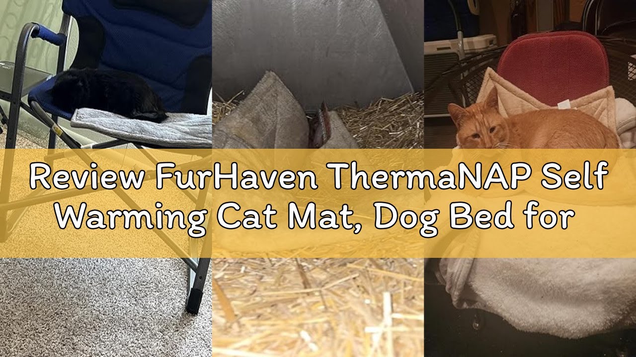 Review FurHaven ThermaNAP Self Warming Cat Mat, Dog Bed for Crates with Self-Warming Technology for