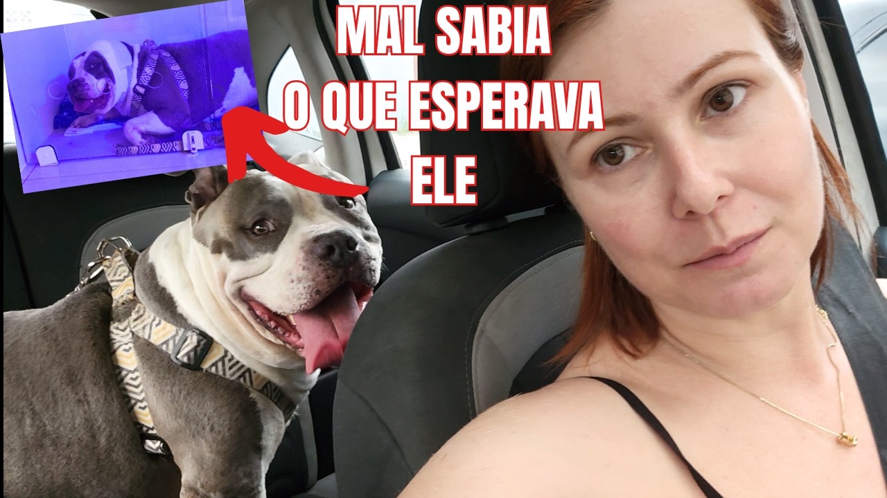 URG&Ecirc;NCIA VETERIN&Aacute;RIA| TOQUE MATERNO