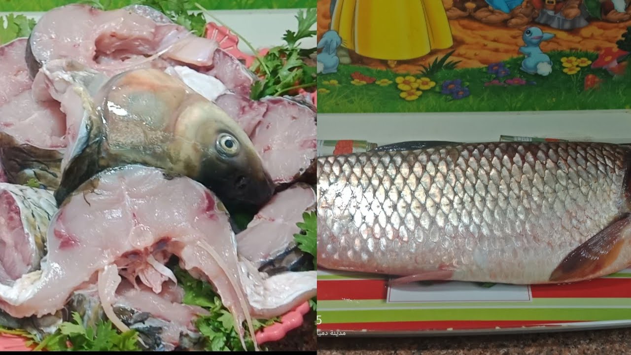طريقه تنظيف سمكه مبروكه