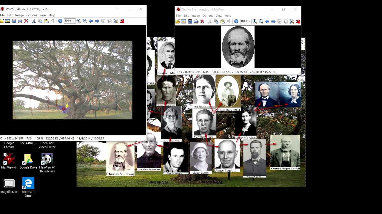 Adding  Photos to a Photo Using Irfanview