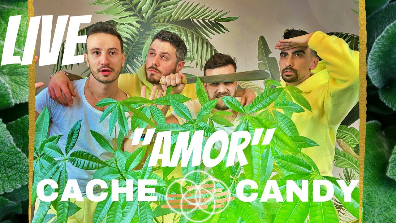 Cache Candy - Amor live