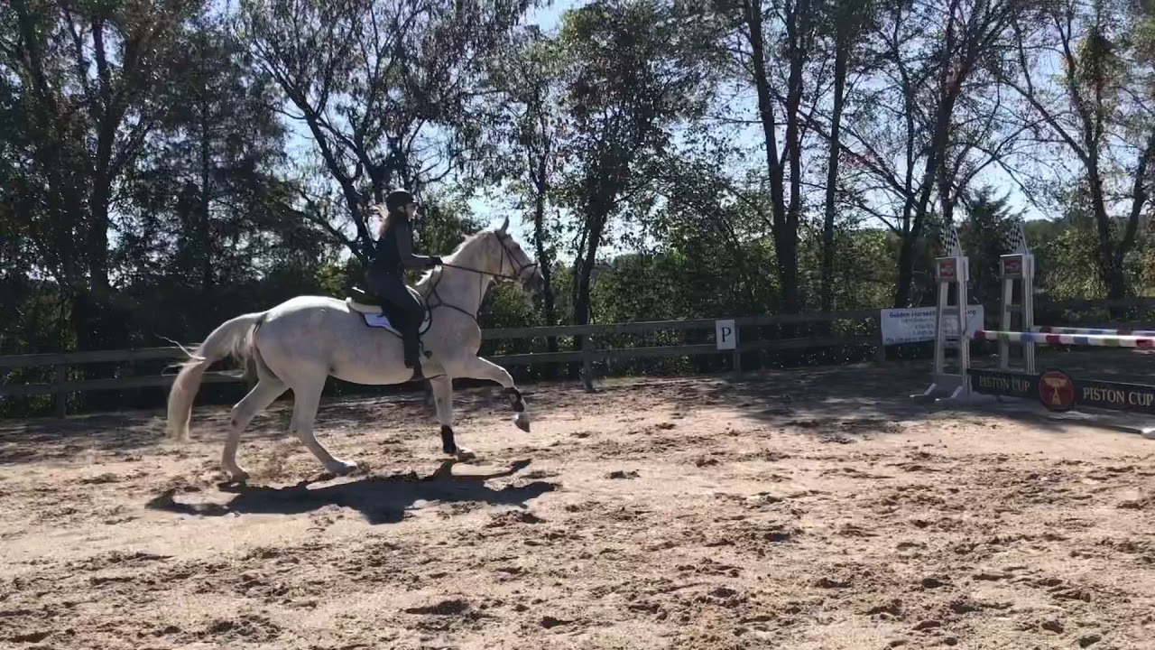 Meagan Lesson on Rumba, Bear & Urijah 10-12-2019