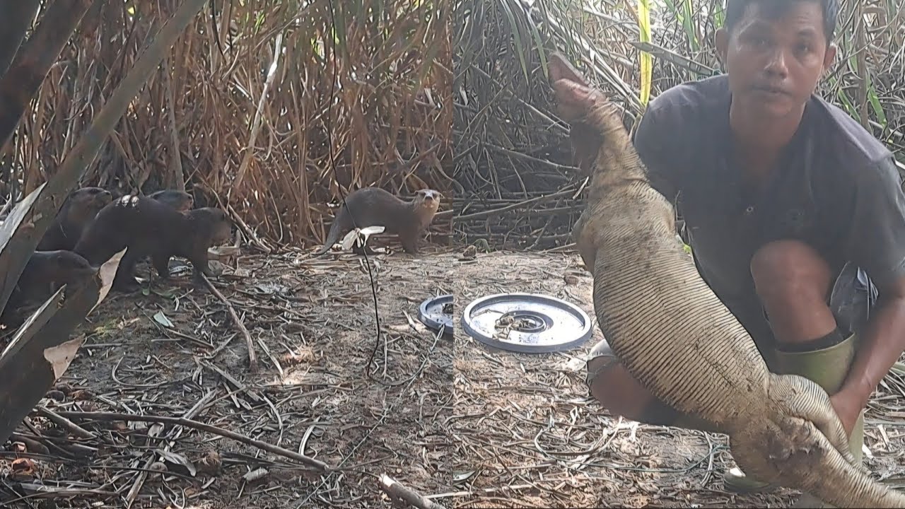 Sekelompok Berang - Berang hampir memakan umpan pancing @Candrasadewaa 
