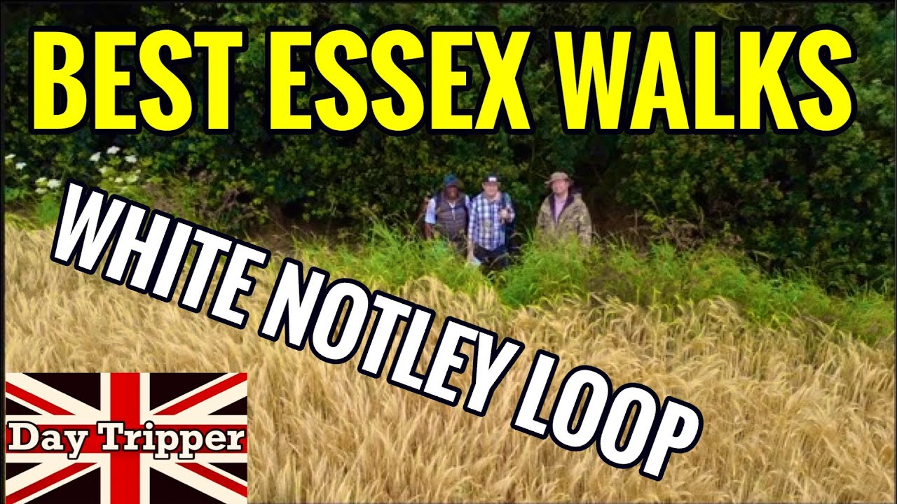 Best Essex Walks - White Notley Circular Walk - Essex Way