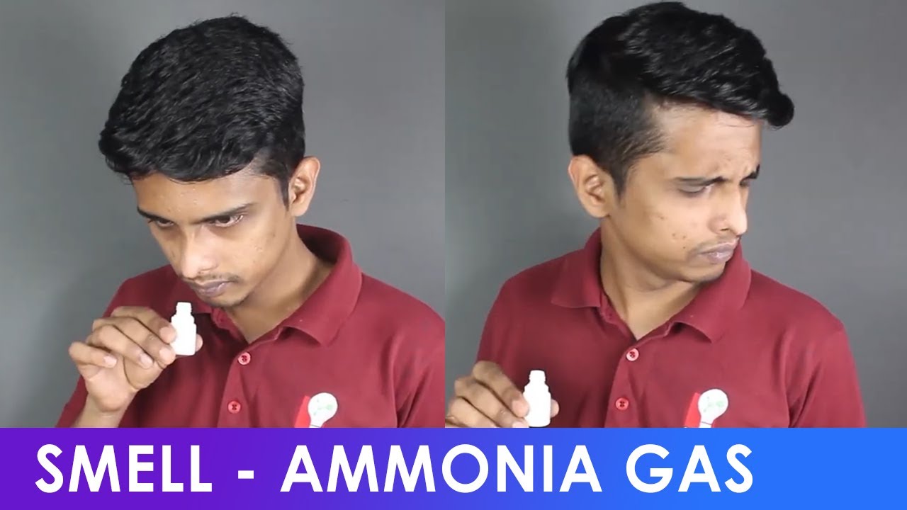 Reaction - Ammonia Gas | ThinkTac | DIY Science