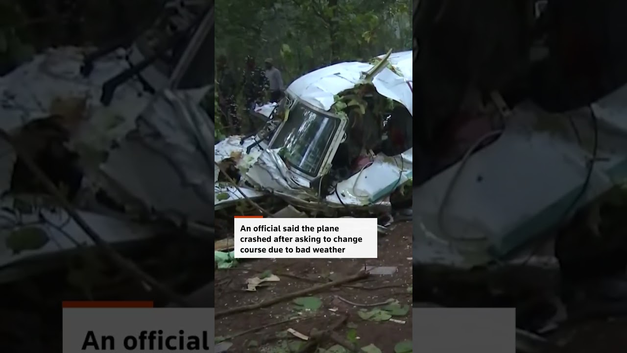 Seven killed after air ambulance crashes in India