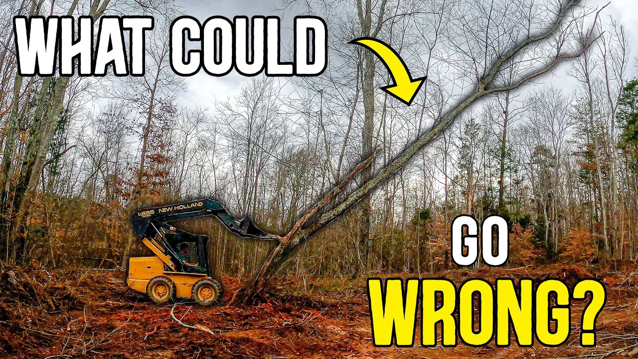 OLD SKID STEER TACKLES LAND CLEARING! (What Could Go Wrong?)