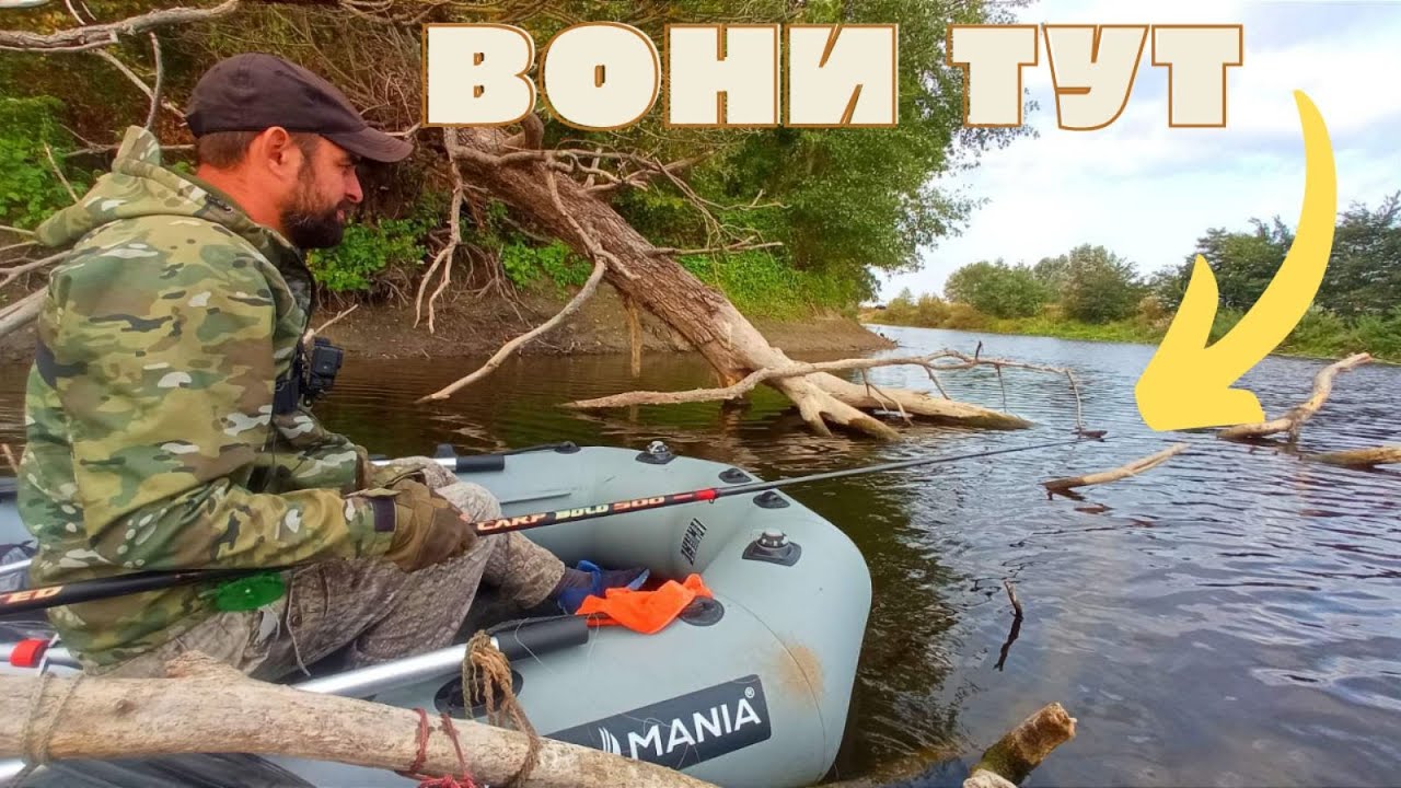 ВЕЛИКА РИБА збилась в КОРЯГИ, Вириваю на АРАПА аж вудка тріщить, Рибалка на дикарі