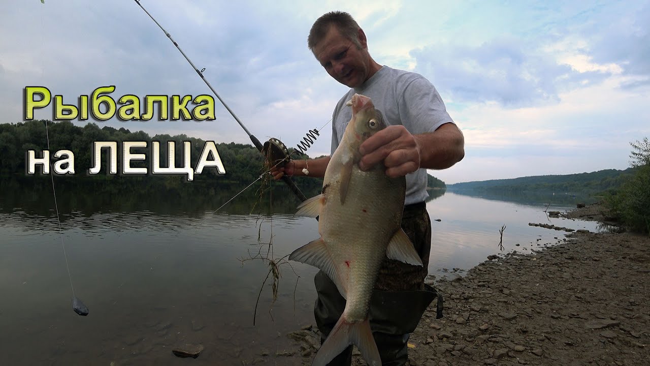 И снова за ЛЕЩОМ с дубовыми снастями. Рыбалка с ночёвкой.