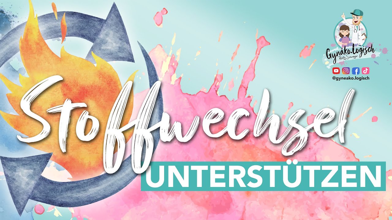 Gewicht normalisieren l Stoffwechsel unterstützen in den Wechseljahren bei Hormonellen Schwankungen