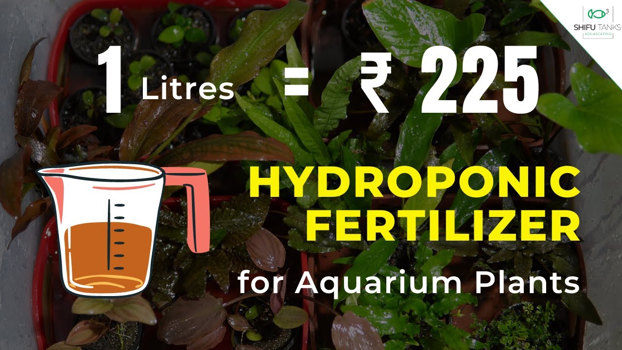 Cheap Hydroponic Fertilizer for Aquarium Plants | GreenLoop Hydroponic Nutrients