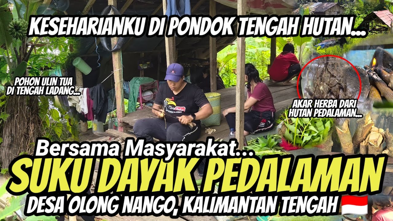 HIDUP APA ADANYA! KESEHARIANKU, MASAK DI PONDOK DAN CARI SAYUR BERSAMA ORANG DAYAK DI PEDALAMAN