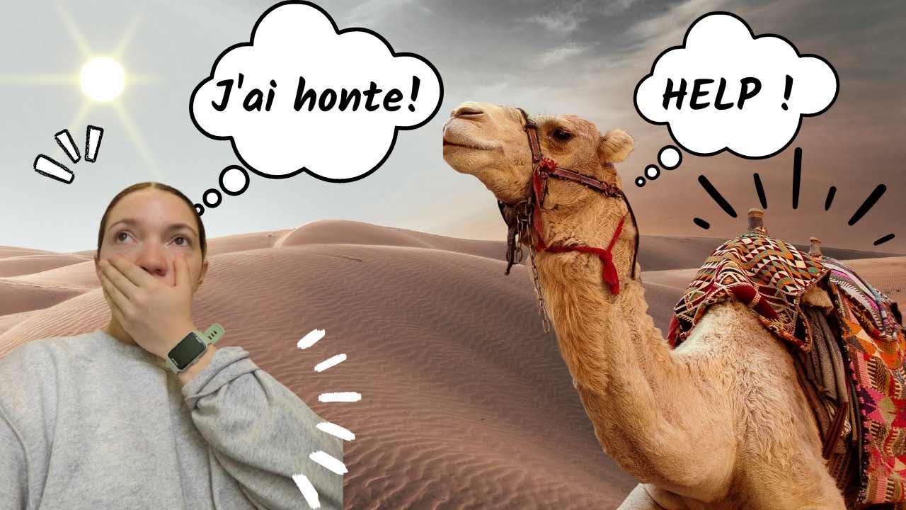 La face cachée des balades à dos de dromadaires