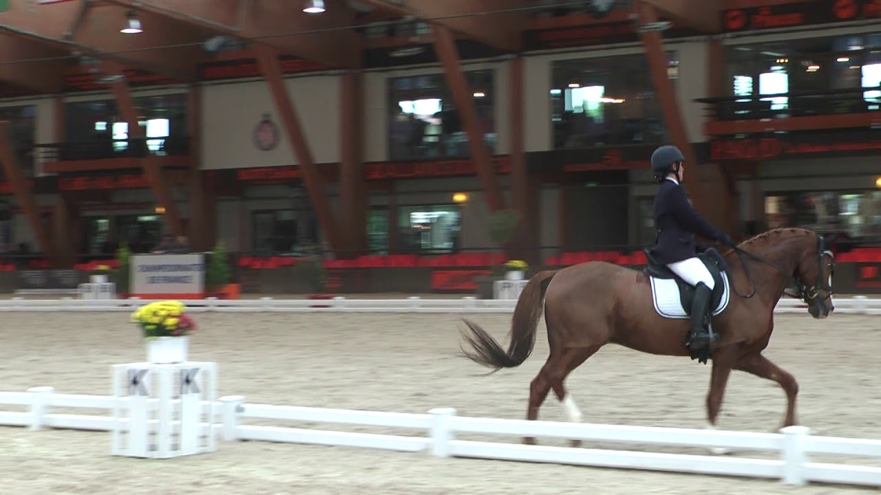 Amélie / Championnat de France Dressage : RLM Amateur 2 LE MANS 2018