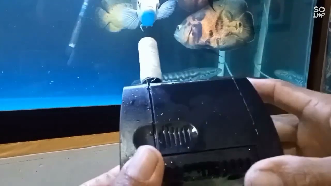 tutorial modifikasi sederhana pompa aquarium agar dasaran aquarium bersih..!!