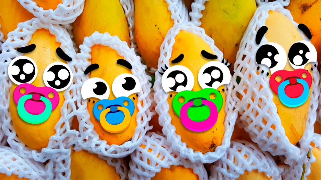 Clumsy Vegetables Became Parents! Adopted By Doodles Family For 24 HOURS!