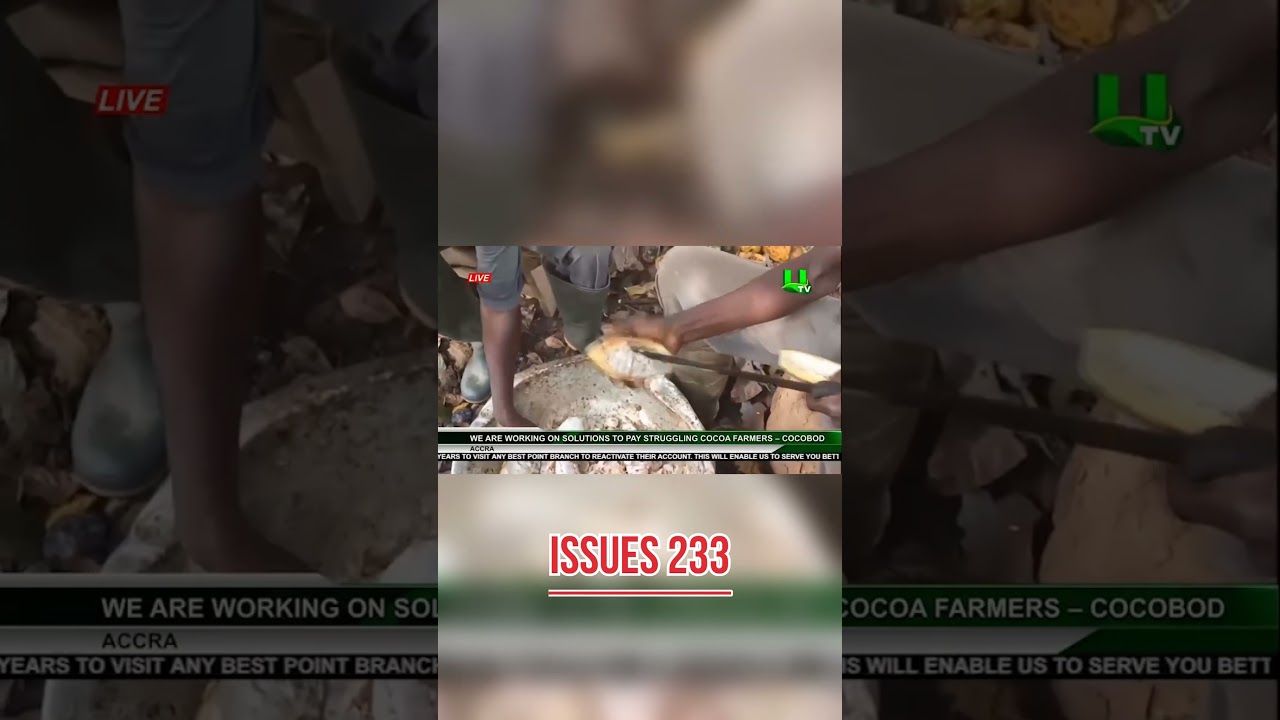 Cocobod CEO Randy Abbey begs Farmers