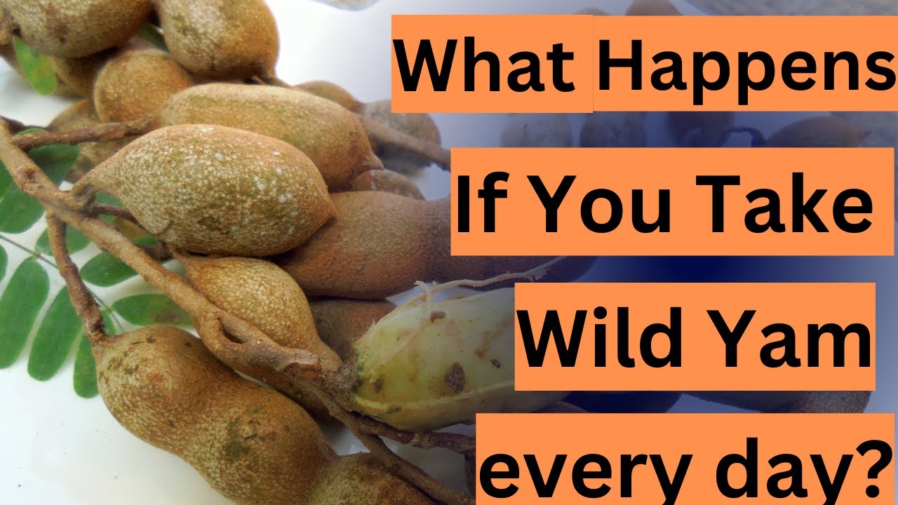 What Happens If You Take Wild Yam every day?
