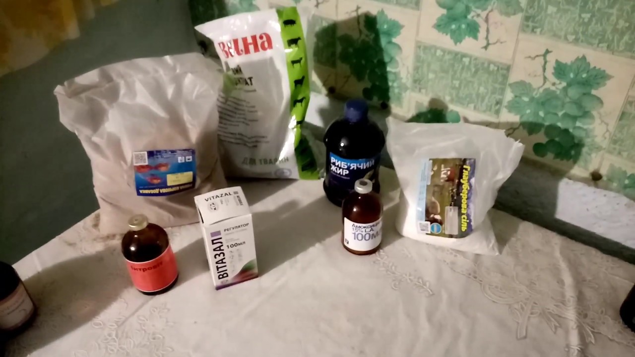 НУЖНА ПОМОЩЬ!!!Свиноматка не есть пять дней.Посоветуйте пожалуйста что делать.